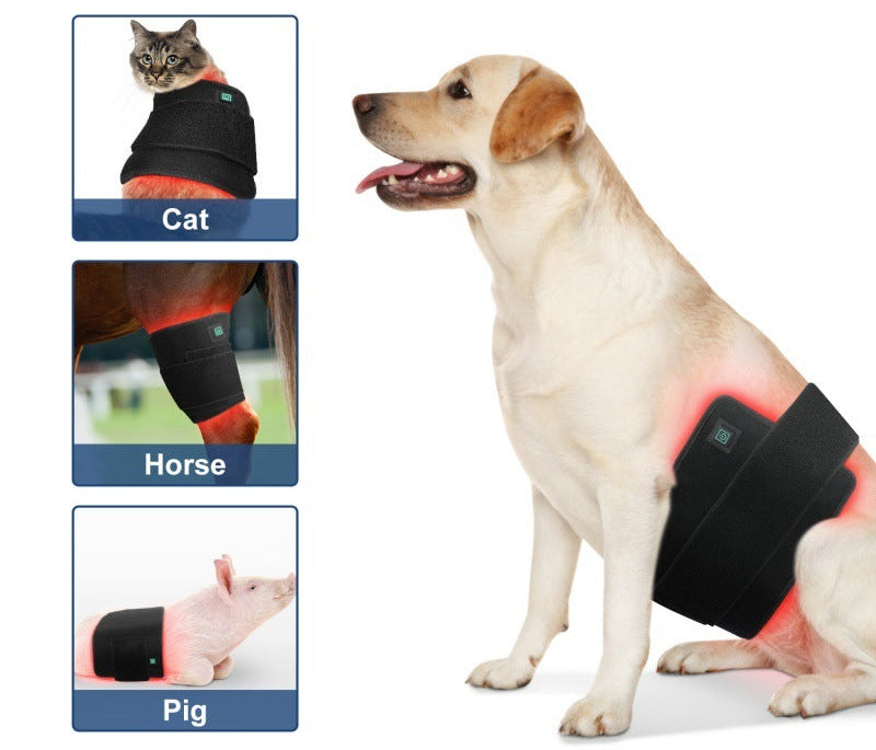 Pet Red Light Therapy Pad – Infrared Joint & Muscle Pain Relief
