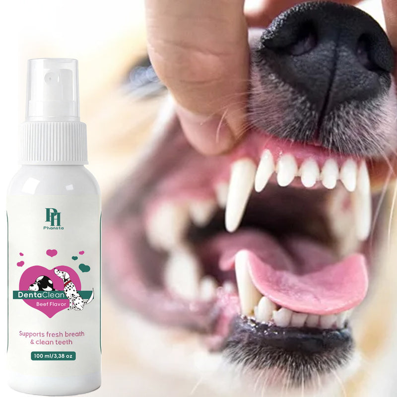 Dental Spray - Pet Oral Care 100ml | Phansta DentaClean