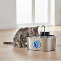 Ultra-Quiet Cat Water Fountain – Filtered Fresh Flow for Cats