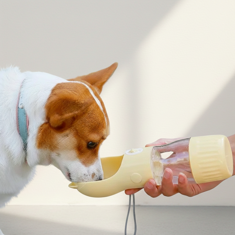 2-in-1 Dog Travel Water Bottle & Food Container – Leakproof