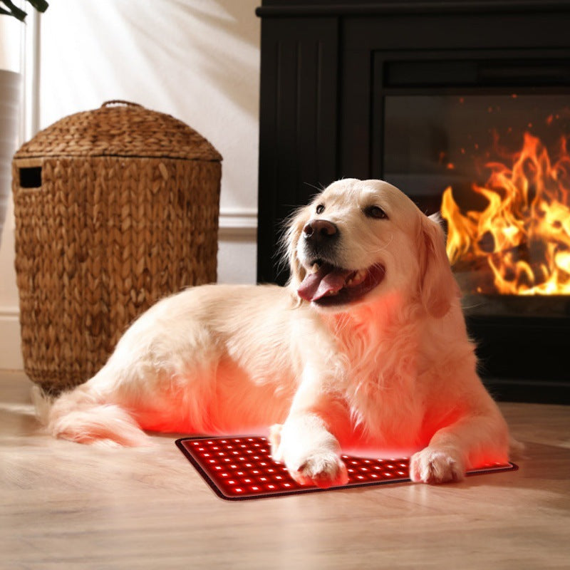 Pet Red Light Therapy Pad – Infrared Joint & Muscle Pain Relief